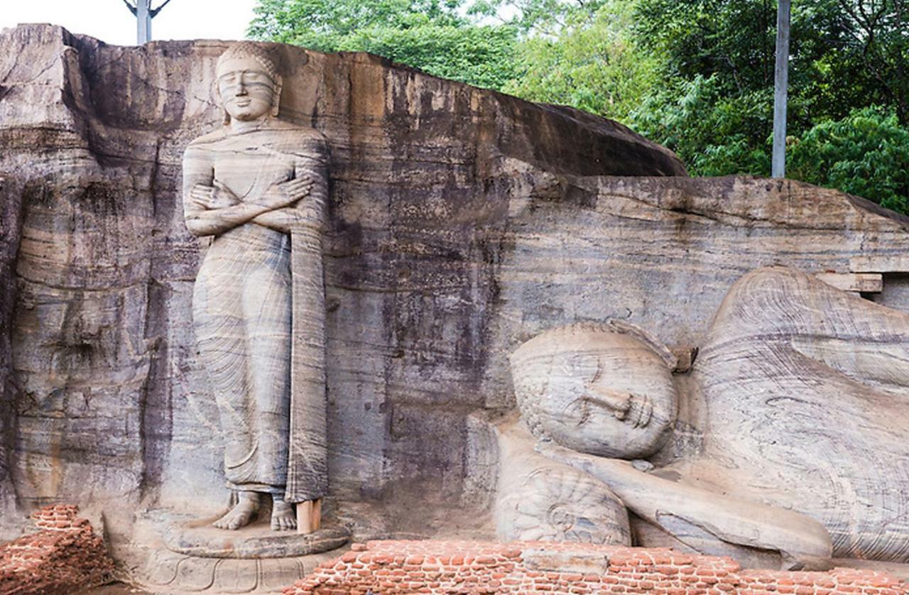 Lion Resort Polonnaruwa Exteriér fotografie