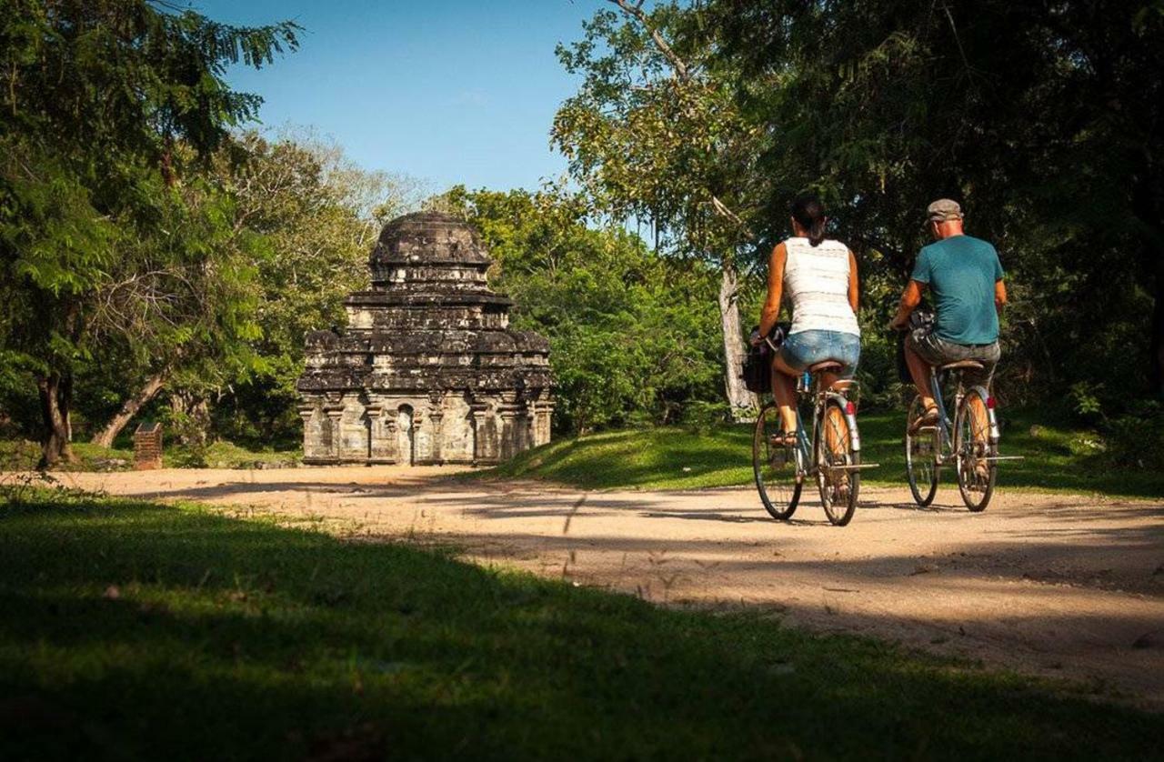 Lion Resort Polonnaruwa Exteriér fotografie
